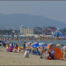 고래불 해수욕장 이미지