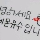 Pinocchio-1 이미지