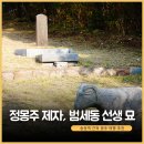 범세동 선생묘 | 송정역 근처 광주 여행 코스 추천, 역사공부도 되는 정몽주의 제자 범세동 선생 묘