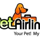 (주)펫에어라인 이미지