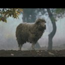 은영목장 이미지