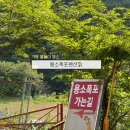 용소폭포1 | 가평 용소폭포펜션 1박2일 물놀이 여행 후기 계곡 바로 앞 숙소 내돈내산