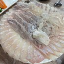 공도포차 | 창원 도계동 공도포차! 부부시장 회ㆍ장어맛집 가족모임 후기!!(회도 장어도 다 맛있었던 곳)