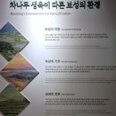 한국차박물관(소리문화공원) | 보성 실내 여행지, 한국차박물관, 볼만했던 퀄리티 좋은 박물관, 산책하기 좋은 한국차문화공원