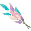 지솔블러썸 (Jisol blossom)
