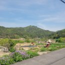 목도주민센터 앞 이미지