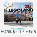 아이뱅크안경(성안점) | 레고랜드 놀이기구 리뷰 | 이틀 연속 직접 타본 것들 아이 반응 정리 겨울이용 팁