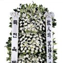 박*영 이미지