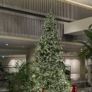 뉴파라다이스 | 제주도 (중) / 귤따기의 뉴 파라다이스를 수호하라