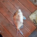 우와호와성 이미지