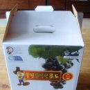 포도향이흐르는마을 이미지