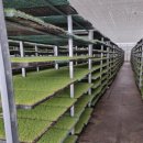 군산시농업기술센터 이미지