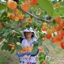 성마을농장 이미지