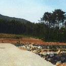 거제시일운보건지소 이미지