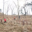 달성토성 이미지