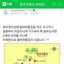 2018년 8월 정기산행- 산찾사 여름 야영 이미지