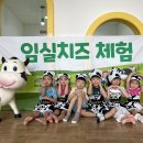 임실 치즈 체험🧀 이미지