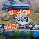 20231116 파주 금곡낚시터 "송어" 금, 토, 일 방류 그리고 다양한 "이벤트" 송어낚시/송어물낚시/루어/플라이 이미지