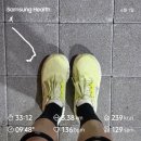 (주)보승식품 - 서초구 | 6월 1주차: 뭘 이렇게 많이 했나