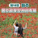 용수골꽃양귀비축제 이미지