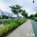 문산노을길(문산천화장실) | 파주 문산 노을길 산책로, 아이와 함께 걷기 좋은 여름 산책 코스 &amp; 문산천 물놀이터 개장