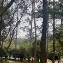 수희재 한옥펜션 이미지