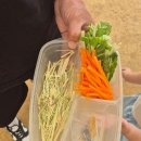 원반농장 | 부천 아기랑 갈만한곳, 실내동물원 나눔농장(동물먹이체험)