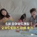 6세 유아보드게임 오차드토이즈 하바 보드게임 후기