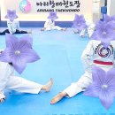 성실 태권도 이미지