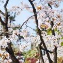 매탄공원 이미지