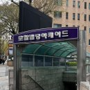 강약국 | [광화문역맛집] 세종문화회관 근처 오징어불백집,블루리본 영월사랑방식당 광화문점심 맛집으로 찜!