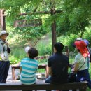 자연아 놀자 이미지