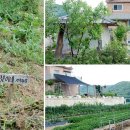 갈전농장 이미지