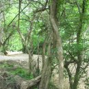 윤성농장 이미지