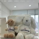 수원치과기공소 이미지