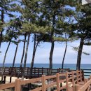 알톤자전거 강릉대리점 이미지