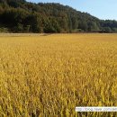 의리농장 이미지