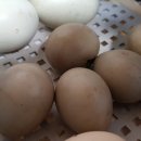 한울여관 이미지