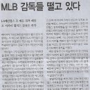 아하스포츠 Daum카페