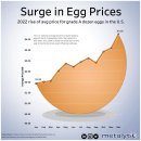 차트: 2022년에 미국 계란 가격이 두 배 이상 증가 이미지