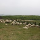 발해목장 이미지