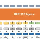 버트 BERT 이미지