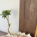 마음을 담다 이미지