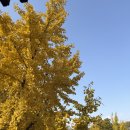 경강로 | 팔당 맛집 장어마을 방문후기🐟