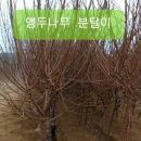경안슈퍼 이미지