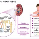 만성 심부전 적응증 확대한 SGLT2 억제제 자디앙정 10mg, 25mg 이미지