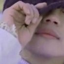 스테이누누