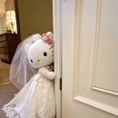 W7. 아이폰스냅 프로즈스냅 | PROSE 본식 후기(+디카,캠코더,폴라로이드)