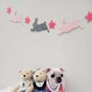 아모르 펫 살롱 이미지