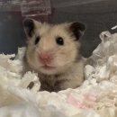 시지동물병원 이미지